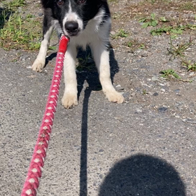 急遽決まった子の画像