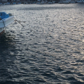 今日の蒲江は…の画像