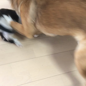 サイレントバトル⚔️の画像