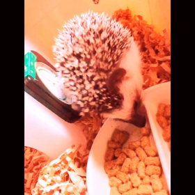 フィルムストーリーの画像