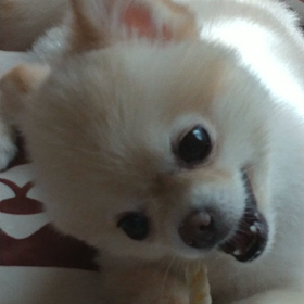 コロナワクチン接種２回目の画像