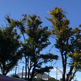 相変わらずの画像