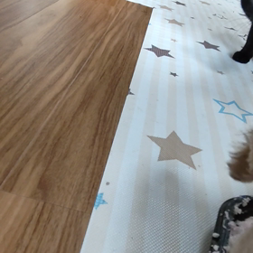 ケーキその3の画像