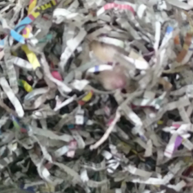 じーーーの画  像