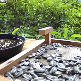 すぎぴたんの事件簿　シーズン２　２７４話（ドリンクバー開店！）の画像