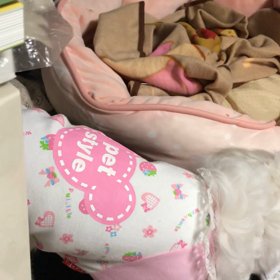 女性の仲の女性！と誉められましたの画像