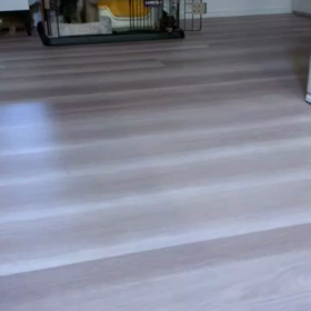 元気いっぱいだーの画像