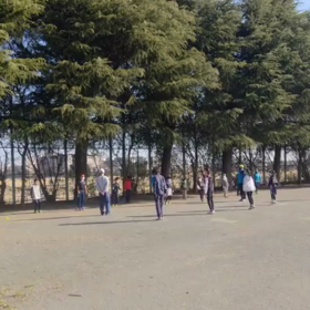 4月2日 バランス⑥の画像