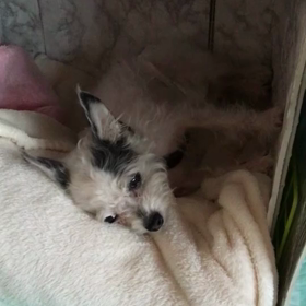 太郎が動かないの画像