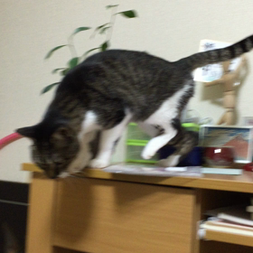 夜 その6の画像