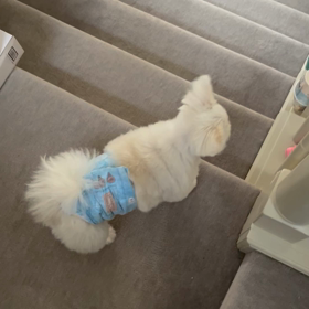 わくわくの画像