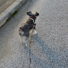 お誕生日おめでとうの画像