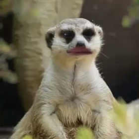 byeよしみ(*•̀ᴗ•́*)の画像