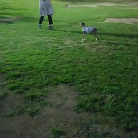 エース久しぶり構成練習　その２の画像