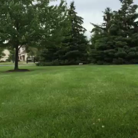 ポッキーの画像