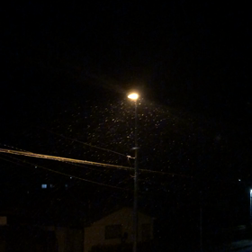 粉雪が舞ってる！！の画像