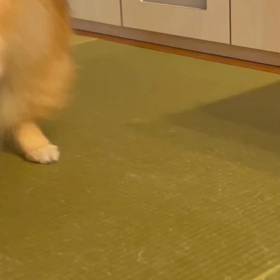 国枝選手おめでとうございます❣️の画像