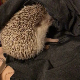 洗濯物らぶ♡の画像