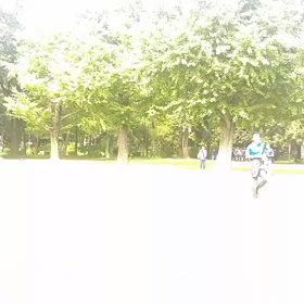 往復バトン練習②の画像