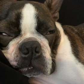 オッさんの画像