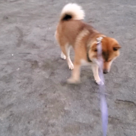 ボール遊びの画像