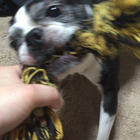 ロープ遊びの画像