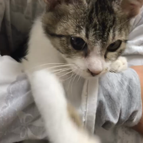 永遠くん、べったりさんの画像