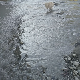 水先案内の画像