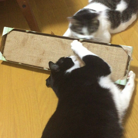 変な人になってしまったの画像