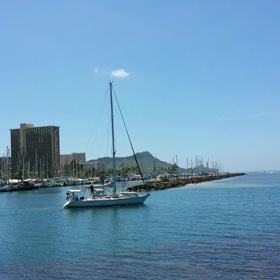 Hawaii 動画の画像