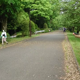 リレー選考会(女子)ゴール付近①の画像