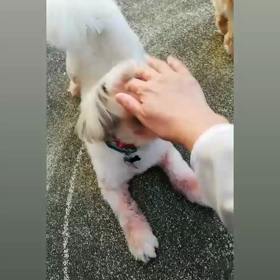 楽しいねの画像