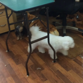 ウル君  パート2の画像