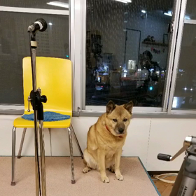 逃げるが勝ちの画像