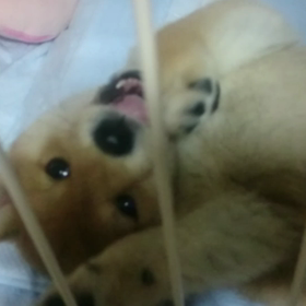 たまらないよ～(*´∀`)♪の画像