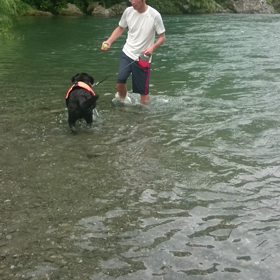 暑くても元気に  の画像