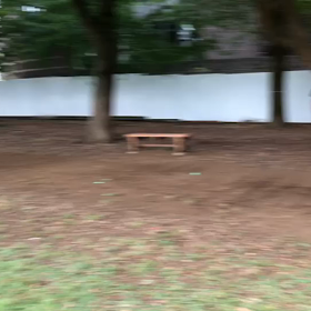 リレー練習(男子)②の画像