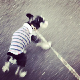 心変わりの画像