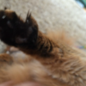 笑顔が幸せ連れてくる…の画像