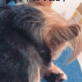 デブデブ桃太郎集の画像