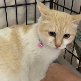 つくしちゃんも興奮気味の画像