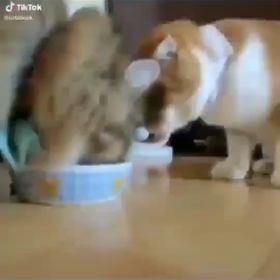 今日のプチハッピー教えて♬*゜の画像