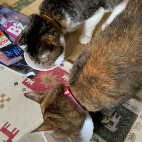 老人ホームを探すの画像