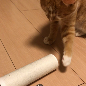 コロコロの画像