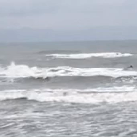 今朝の波乗り自撮り、、、ダラダラ、、、の画像