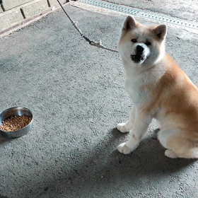 花見日和の画像