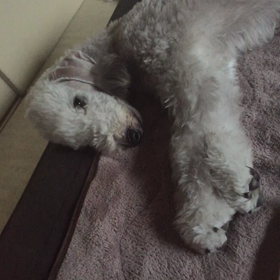 ▶︎へとへとの画像