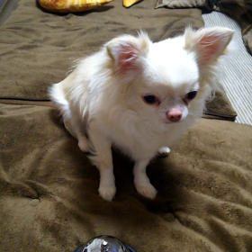 チーンチン遊びの画像