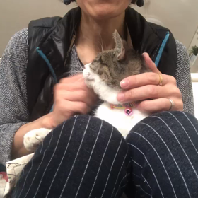 朝のスキンシップ☺️の画像