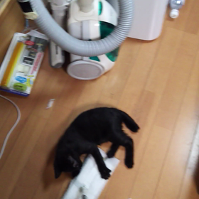 進歩してる…の画像